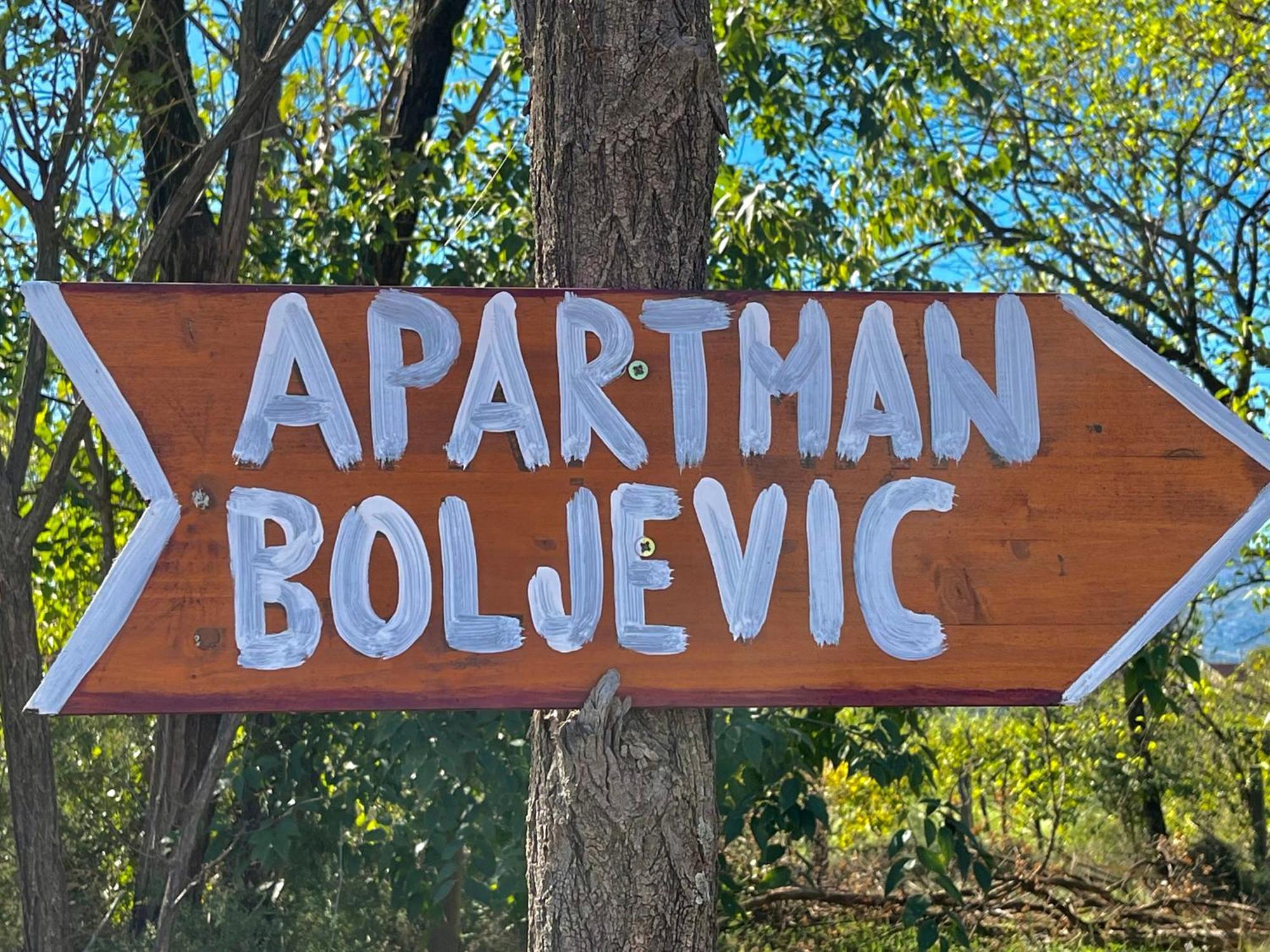 Apartman Boljevic Podgorica Exteriör bild